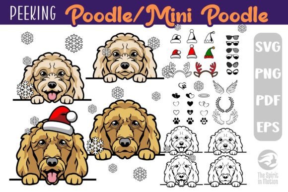 Download Poodle PNG, SVG, Clipart &amp; Cutfiles - Svg Collection