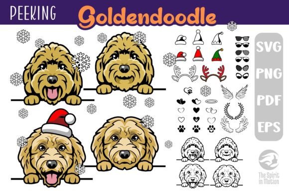 Download Goldendoodle SVG, Clipart &amp; Cutfiles - Svg Collection