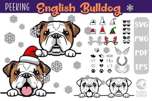 Download English Bulldog SVG, Clipart &amp; Cutfiles - Svg Collection