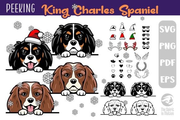 Download King Charles Spaniel PNG &amp; SVG Cutfiles - Svg Collection