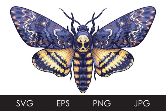 Download Death's-Head Hawk Moth - Death Collection