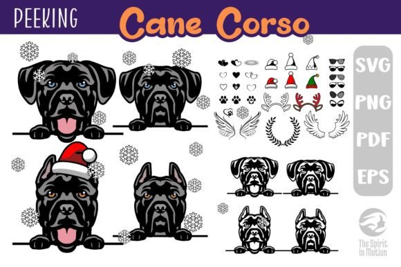 Download Cane Corso SVG, Clipart &amp; Cutfiles - Svg Collection